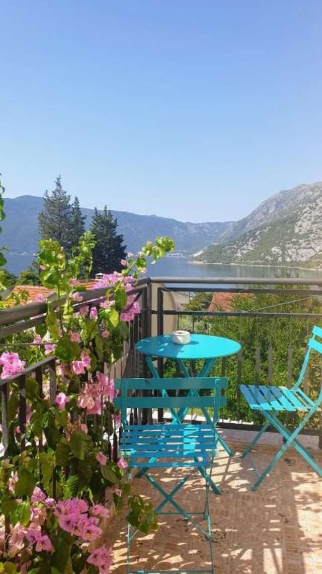 Апарт-отели Apartment Mint&Rose Рисан-124
